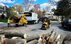 Best Lawn Maintenance Plans  in Hidden Valley Lake, CA