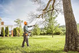 Best Tree Trimming and Pruning  in Hidden Valley Lake, CA