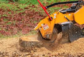 Best Weed Control  in Hidden Valley Lake, CA